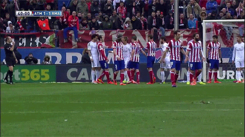 caidapepe-4440466.gif